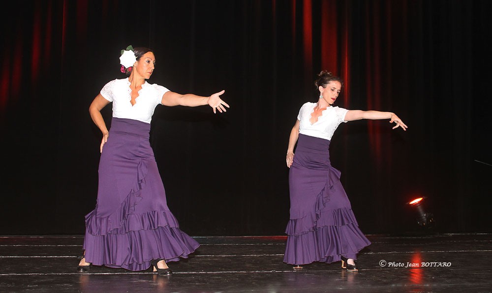 Flamenco 8 1