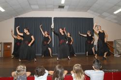 flamenco 2
