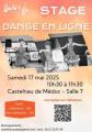 Stage de danse en ligne redim20
