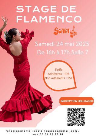 Stage flamenco redim20
